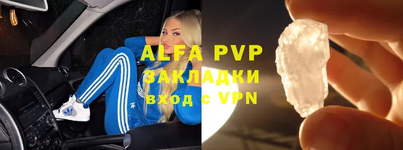 A-PVP СК  Ярославль 